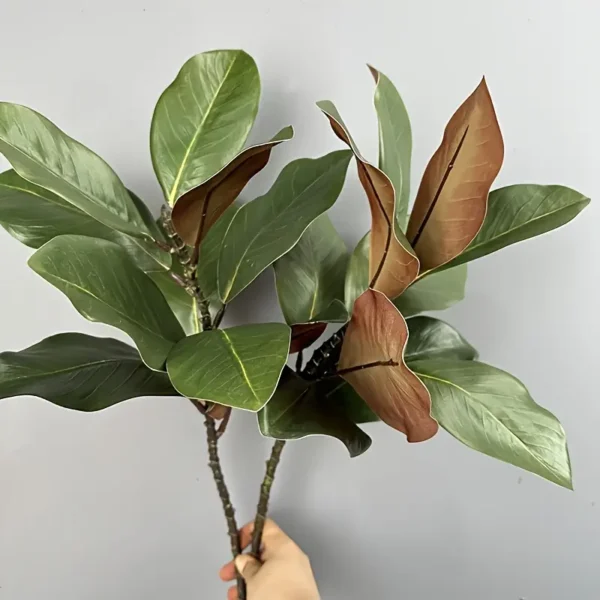Simulated Green Plant Art Style Magnolia Leaves